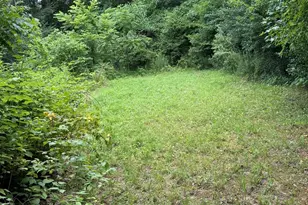 142 Avondale Rd, Asheville, NC 28803 - Photo 22