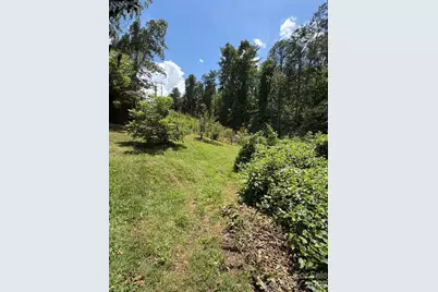 142 Avondale Road, Asheville, NC 28803 - Photo 20