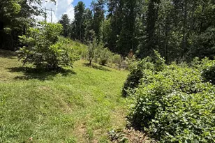 142 Avondale Rd, Asheville, NC 28803 - Photo 20