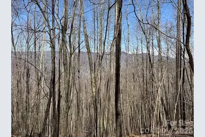 140 Boar Ridge Road, Sylva, NC 28779 - Photo 2