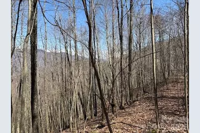 140 Boar Ridge Road, Sylva, NC 28779 - Photo 4