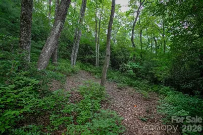 Lot 28 Big Hill Road #28, Brevard, NC 28712 - Photo 18