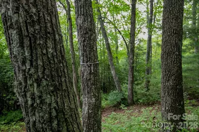 Lot 28 Big Hill Road #28, Brevard, NC 28712 - Photo 20