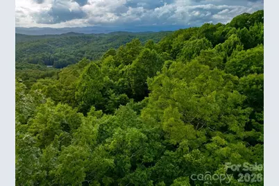 Lot 28 Big Hill Road #28, Brevard, NC 28712 - Photo 12
