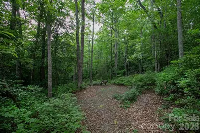 Lot 28 Big Hill Road #28, Brevard, NC 28712 - Photo 1