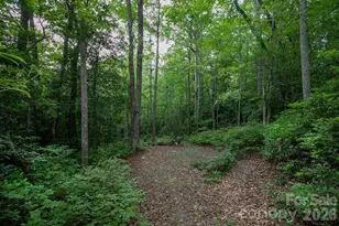 Lot 28 Big Hill Rd, Brevard, NC 28712 - Photo 1