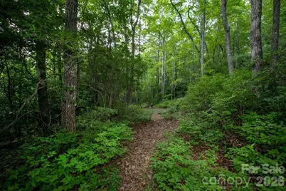 Lot 28 Big Hill Road #28, Brevard, NC 28712 - Photo 4