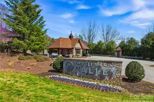 0000 Panther Mountain Rd, Zirconia, NC 28790 - Photo 40