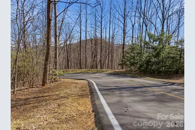 0000 Panther Mountain Road #18, Zirconia, NC 28790 - Photo 10