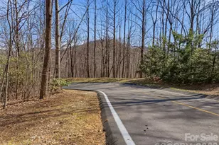 0000 Panther Mountain Rd, Zirconia, NC 28790 - Photo 10