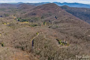 0000 Panther Mountain Rd, Zirconia, NC 28790 - Photo 22