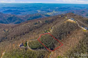 0000 Panther Mountain Rd, Zirconia, NC 28790 - Photo 20