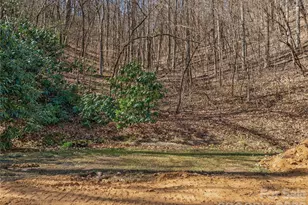 0000 Panther Mountain Rd, Zirconia, NC 28790 - Photo 12