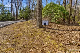 0000 Panther Mountain Rd, Zirconia, NC 28790 - Photo 8
