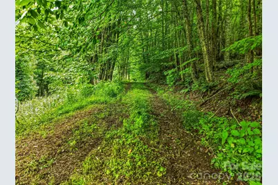 961 Wilson Branch Road, Mars Hill, NC 28754 - Photo 18
