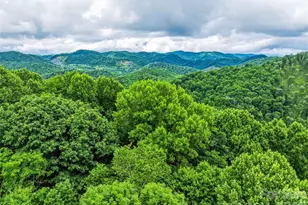 961 Wilson Branch Rd, Mars Hill, NC 28754 - Photo 16