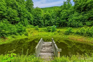 961 Wilson Branch Rd, Mars Hill, NC 28754 - Photo 28