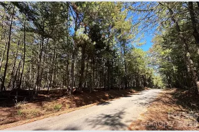 00 Poverty Hollow Road, Fort Lawn, SC 29714 - Photo 1