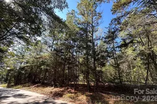 00 Poverty Hollow Rd, Fort Lawn, SC 29714 - Photo 1