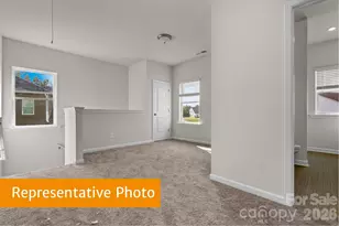 4031 Ruth Crk Ct, Charlotte, NC 28216 - Photo 10