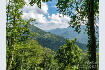 36 Cary Lane, Asheville, NC 28804 - Photo 12