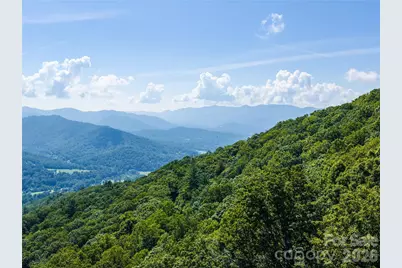 36 Cary Lane, Asheville, NC 28804 - Photo 6