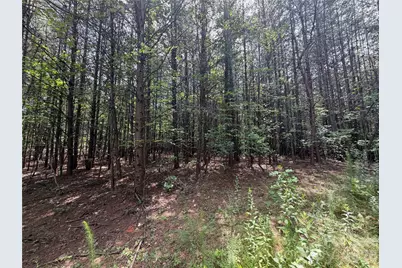 5022 Old Nc 18 Highway, Connelly Springs, NC 28612 - Photo 34
