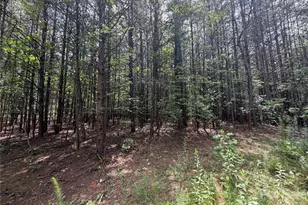 5022 Old Nc 18 Hwy, Connelly Springs, NC 28612 - Photo 34
