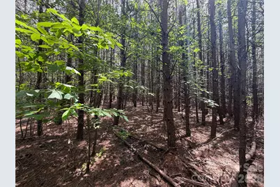 5022 Old Nc 18 Highway, Connelly Springs, NC 28612 - Photo 36