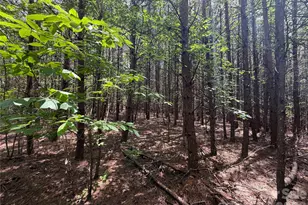 5022 Old Nc 18 Hwy, Connelly Springs, NC 28612 - Photo 36