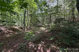 5022 Old Nc 18 Hwy, Connelly Springs, NC 28612 - Photo 40