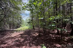5022 Old Nc 18 Hwy, Connelly Springs, NC 28612 - Photo 38