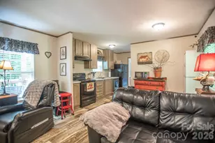 1066 Pisgah Dr, Canton, NC 28716 - Photo 10
