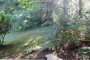 6 Woodlands Dr, Black Mountain, NC 28711 - Photo 4