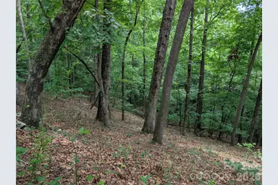 115 Ivywood Lane, Laurel Park, NC 28739 - Photo 6