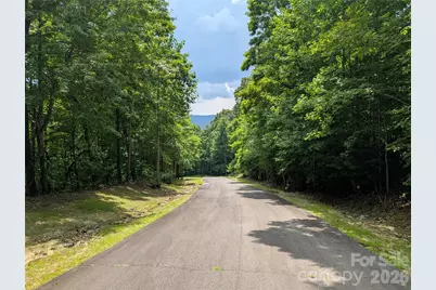 115 Ivywood Lane, Laurel Park, NC 28739 - Photo 2