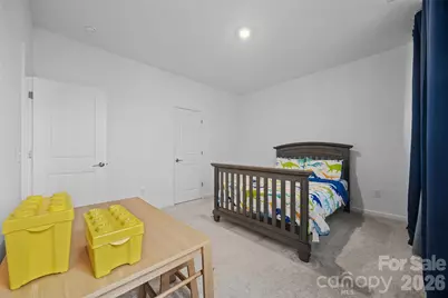 1184 Lost Cove Road, Indian Land, SC 29707 - Photo 26