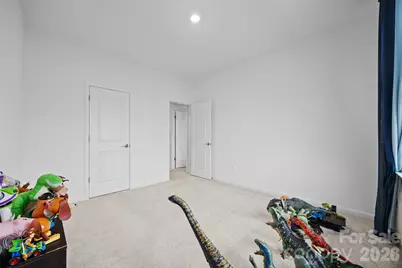 1184 Lost Cove Road, Indian Land, SC 29707 - Photo 28