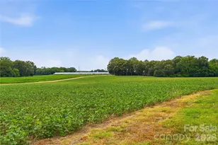 1421 Old Hwy 74 None, Marshville, NC 28103 - Photo 38