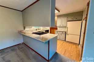 103 Farm Ln, Columbus, NC 28722 - Photo 20
