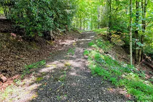 98 Will Wilson Rd, Burnsville, NC 28714 - Photo 10
