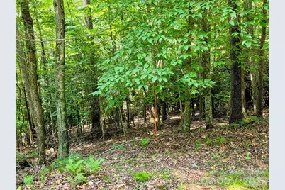 98 Will Wilson Road, Burnsville, NC 28714 - Photo 16