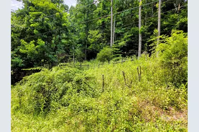 98 Will Wilson Road, Burnsville, NC 28714 - Photo 22