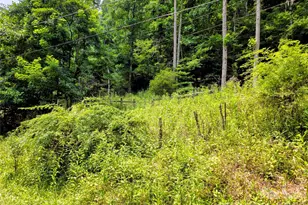 98 Will Wilson Rd, Burnsville, NC 28714 - Photo 22