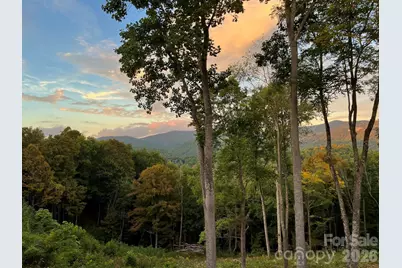 1185 & 1115 Black Bear Drive, Mars Hill, NC 28754 - Photo 24
