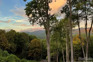 1185 & 1115 Black Bear Dr, Mars Hill, NC 28754 - Photo 24