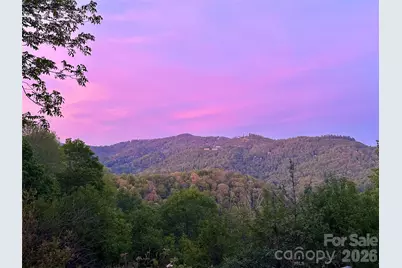 1185 & 1115 Black Bear Drive, Mars Hill, NC 28754 - Photo 2