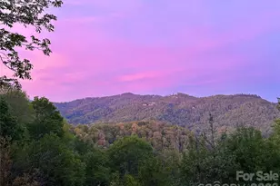 1185 & 1115 Black Bear Dr, Mars Hill, NC 28754 - Photo 2