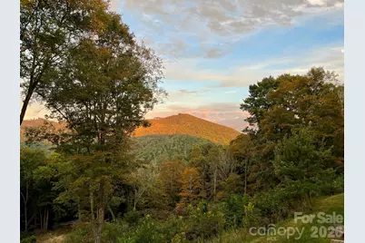 1185 & 1115 Black Bear Drive, Mars Hill, NC 28754 - Photo 22
