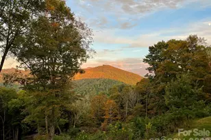 1185 & 1115 Black Bear Dr, Mars Hill, NC 28754 - Photo 22